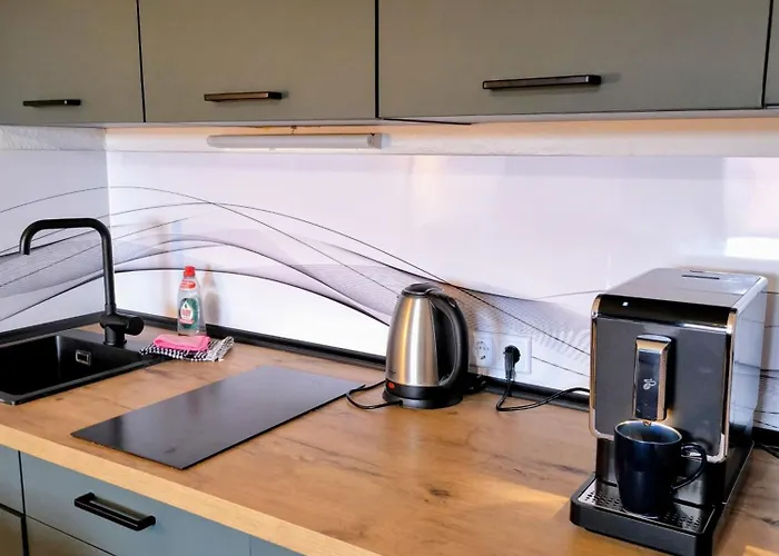 Lägenhet Melou Harzruhe Wellness *